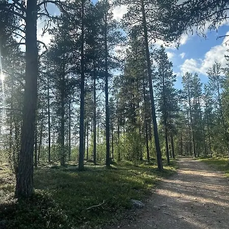 וילה Lapland Hideout With Modern Amenities And Activities