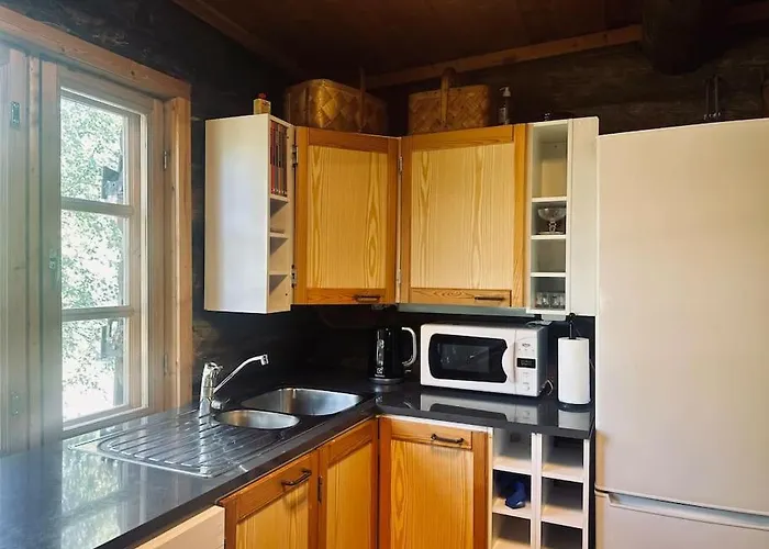 Lapland Hideout With Modern Amenities And Activities 别墅 埃农泰基厄