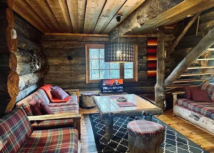 别墅 Lapland Hideout With Modern Amenities And Activities 埃农泰基厄